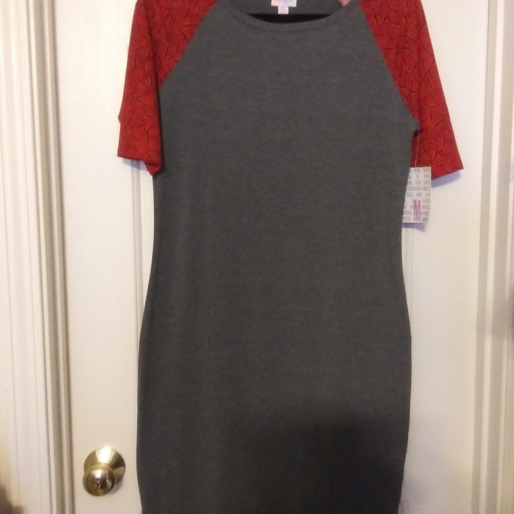 LuLaRoe Julia Dress